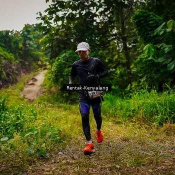Runner Photo 8377161