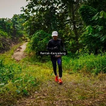 Runner Photo 8377170