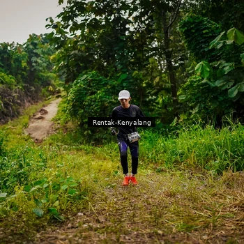 Runner Photo 8377171