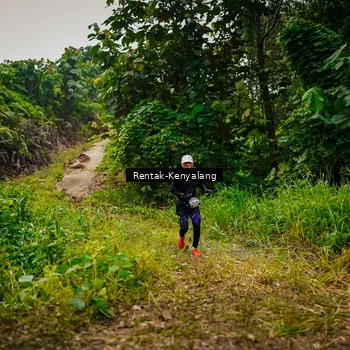 Runner Photo 8377173
