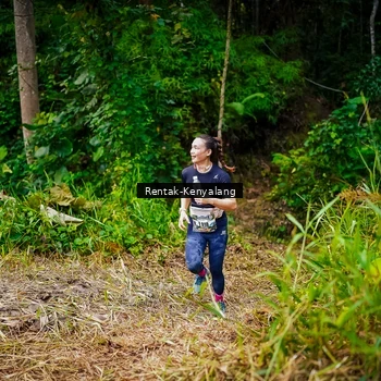 Runner Photo 8377178