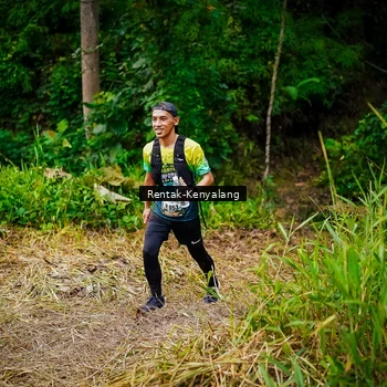 Runner Photo 8377179