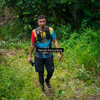 Runner Photo 8377201