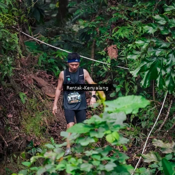 Runner Photo 8377203