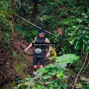 Runner Photo 8377206
