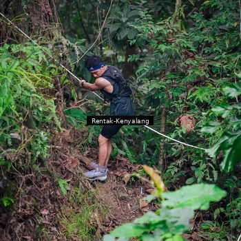 Runner Photo 8377210