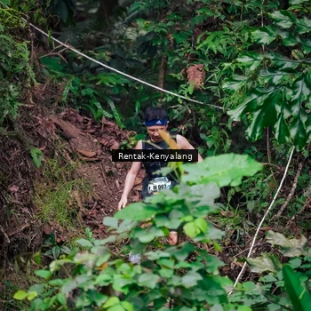 Runner Photo 8377212