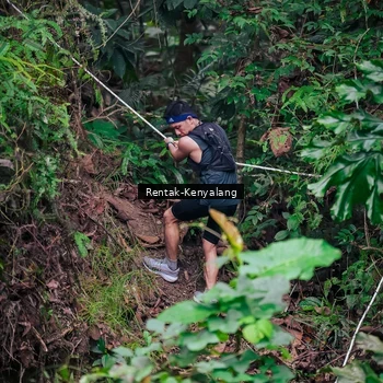 Runner Photo 8377215