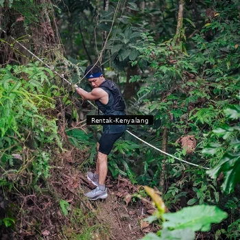 Runner Photo 8377216