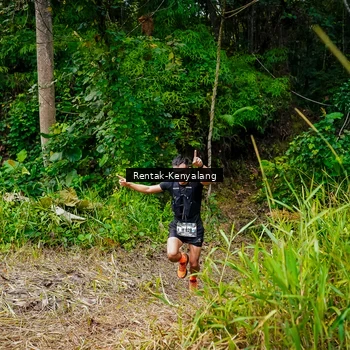 Runner Photo 8377217