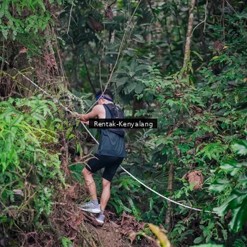 Runner Photo 8377219