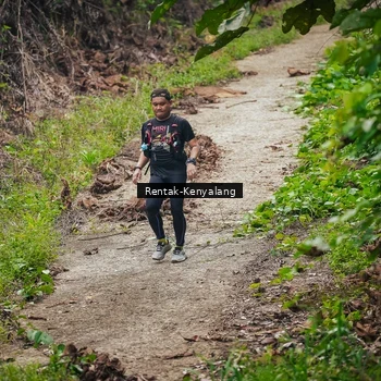 Runner Photo 8377242