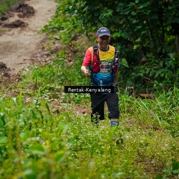 Runner Photo 8377253
