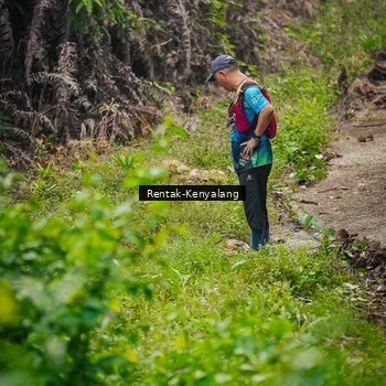 Runner Photo 8377260