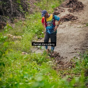Runner Photo 8377265