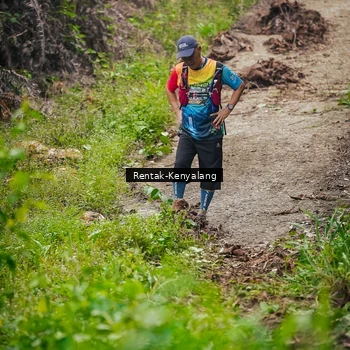 Runner Photo 8377266
