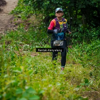 Runner Photo 8377276
