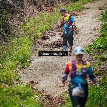 Runner Photo 8377279