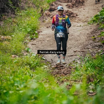 Runner Photo 8377287