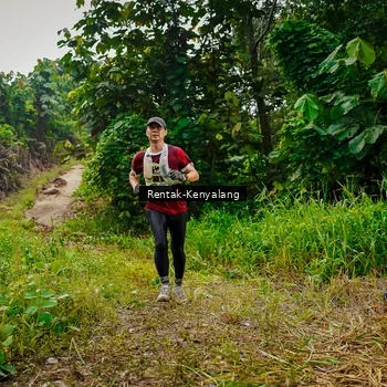 Runner Photo 8377297