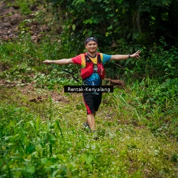 Runner Photo 8377318