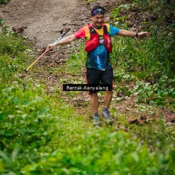 Runner Photo 8377323