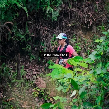 Runner Photo 8377337