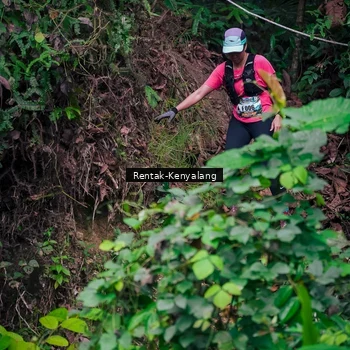 Runner Photo 8377338