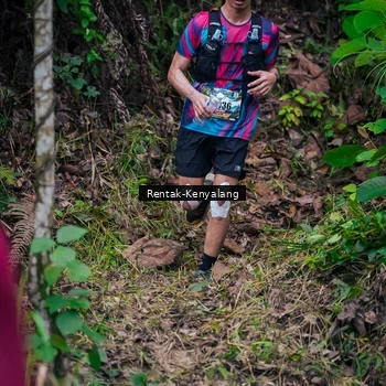 Runner Photo 8377353