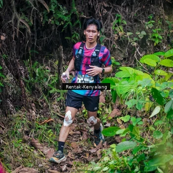 Runner Photo 8377354