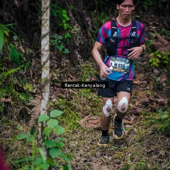 Runner Photo 8377355
