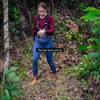 Runner Photo 8377366