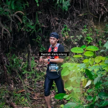 Runner Photo 8377373