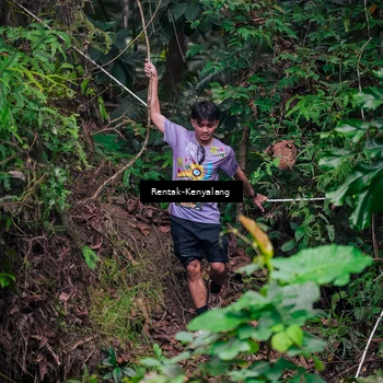 Runner Photo 8377375
