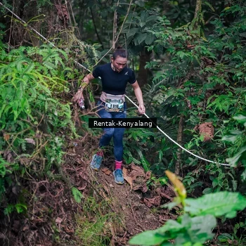 Runner Photo 8377398
