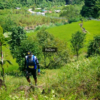 Runner Photo 83774