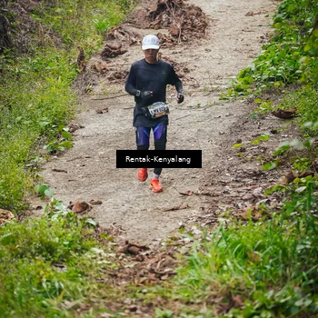 Runner Photo 8377406