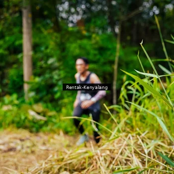 Runner Photo 8377411