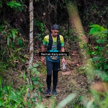 Runner Photo 8377416