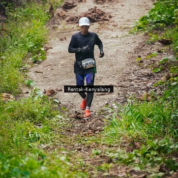 Runner Photo 8377425