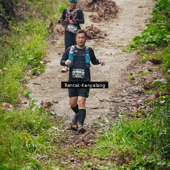 Runner Photo 8377431