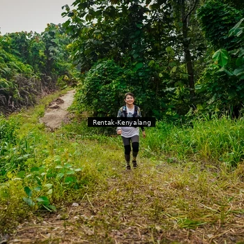 Runner Photo 8377434