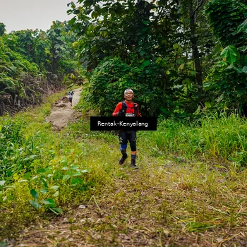 Runner Photo 8377447