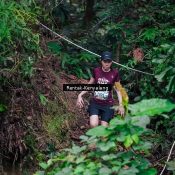 Runner Photo 8377550