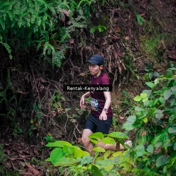 Runner Photo 8377551