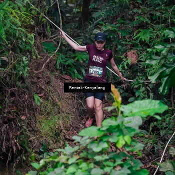 Runner Photo 8377556