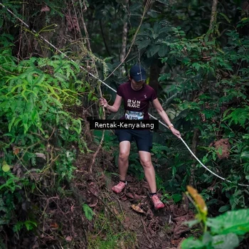Runner Photo 8377558