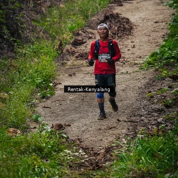 Runner Photo 8377564