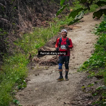 Runner Photo 8377565