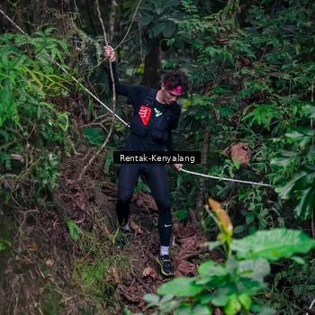 Runner Photo 8377579